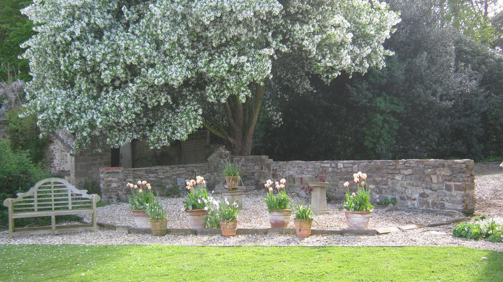 Hollamoor Farm Bed and Breakfast Barnstaple Buitenkant foto