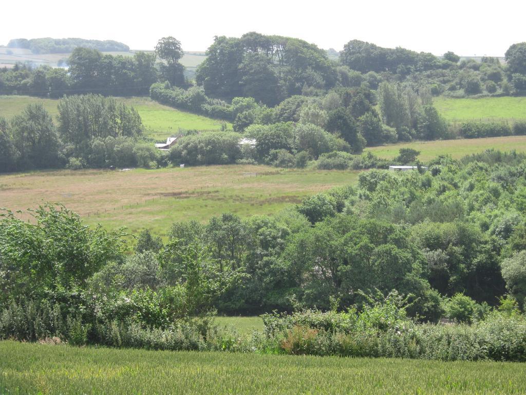 Hollamoor Farm Bed and Breakfast Barnstaple Buitenkant foto