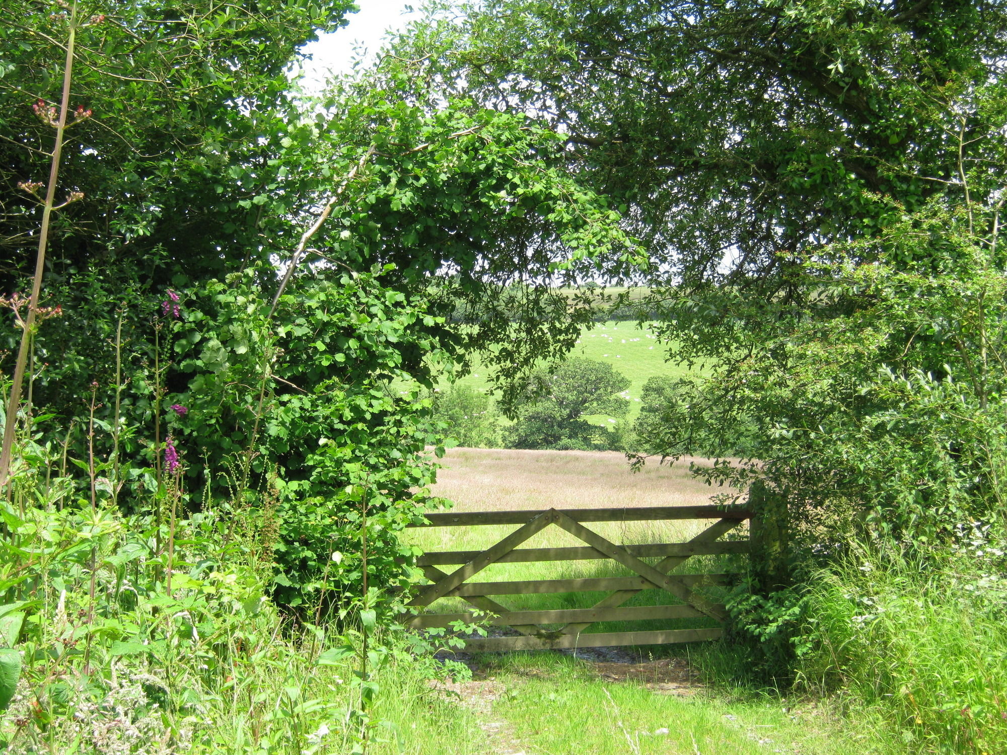Hollamoor Farm Bed and Breakfast Barnstaple Buitenkant foto