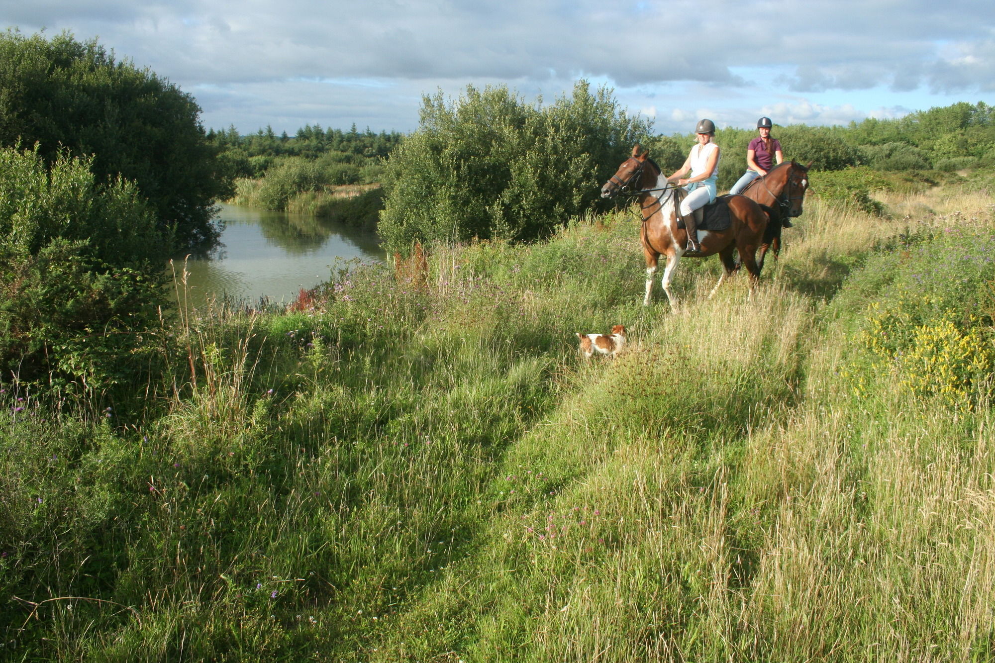 Hollamoor Farm Bed and Breakfast Barnstaple Buitenkant foto
