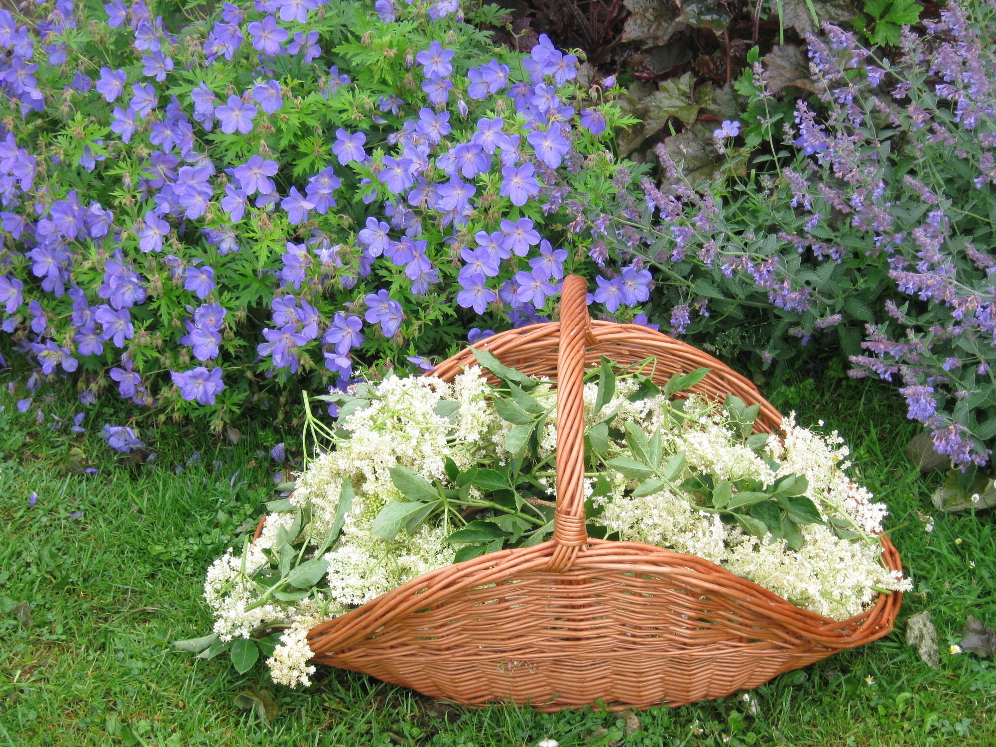 Hollamoor Farm Bed and Breakfast Barnstaple Buitenkant foto