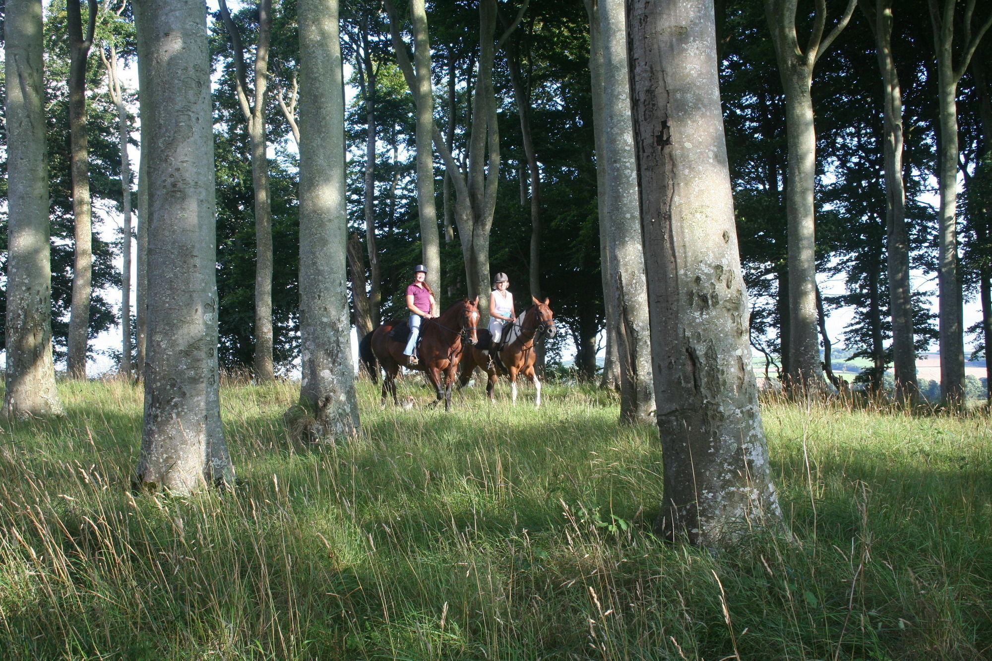 Hollamoor Farm Bed and Breakfast Barnstaple Buitenkant foto