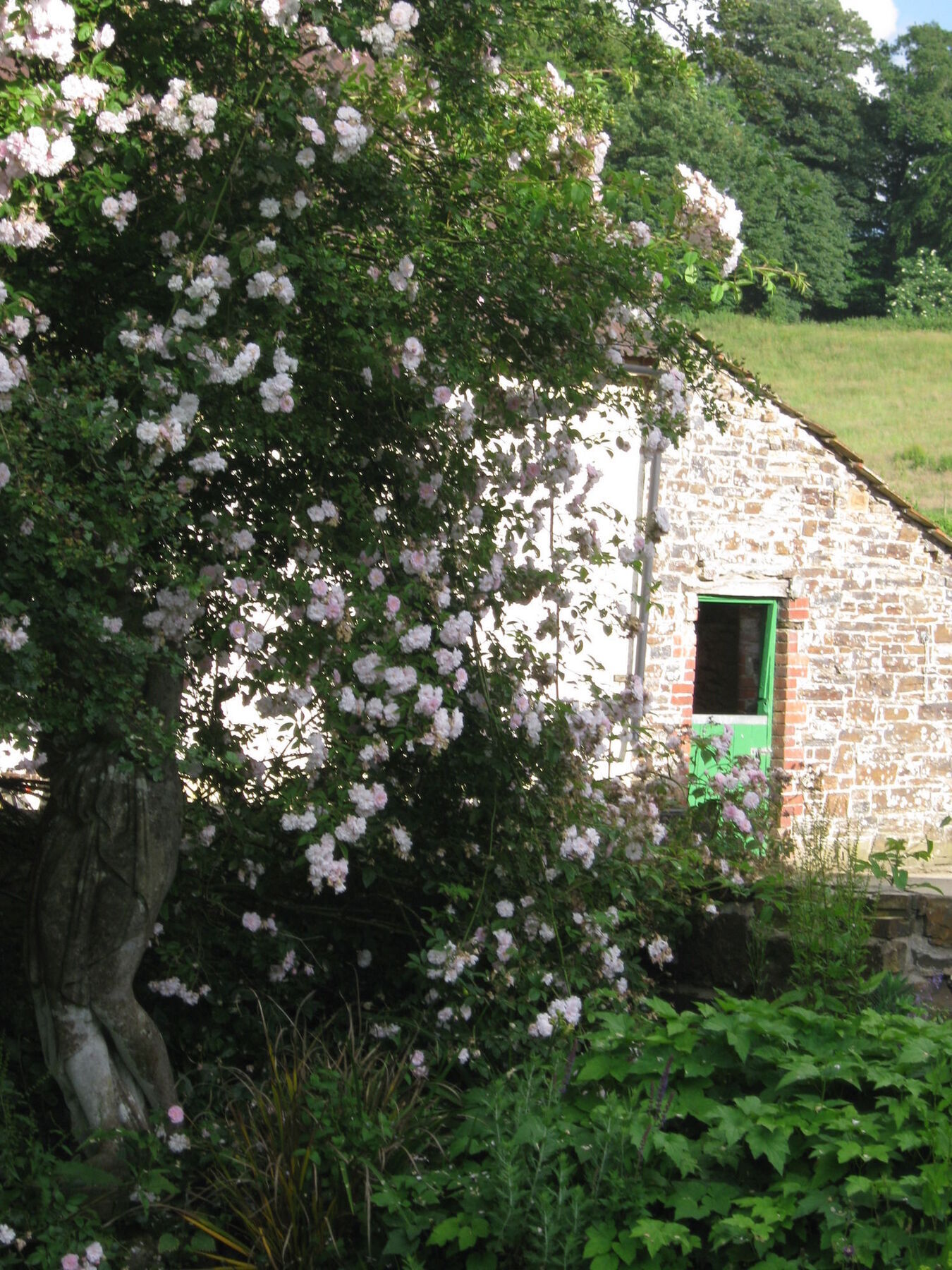 Hollamoor Farm Bed and Breakfast Barnstaple Buitenkant foto
