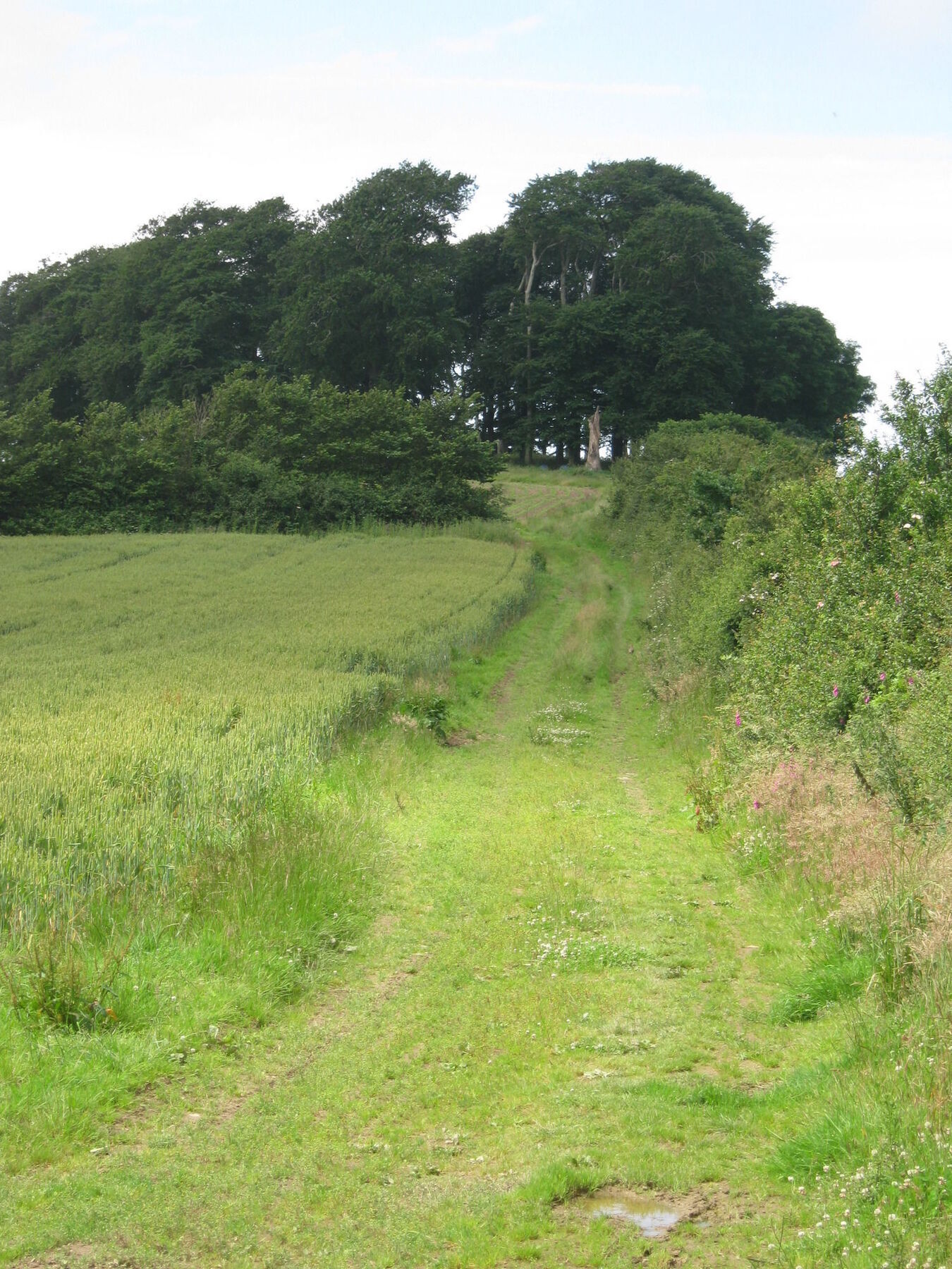Hollamoor Farm Bed and Breakfast Barnstaple Buitenkant foto